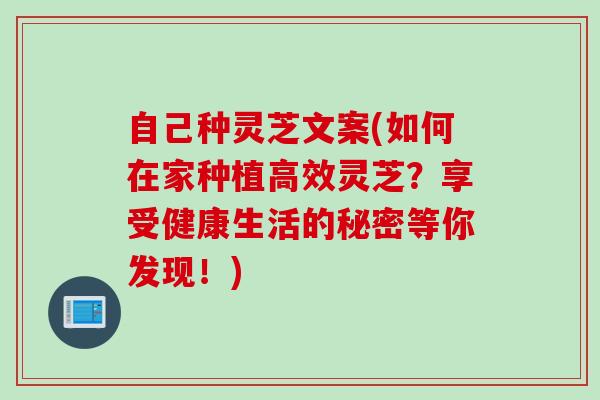 自己种灵芝文案(如何在家种植高效灵芝？享受健康生活的秘密等你发现！)