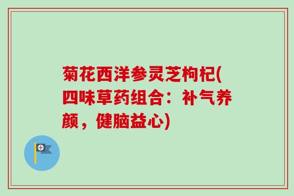 菊花西洋参灵芝枸杞(四味草药组合：补气养颜，健脑益心)