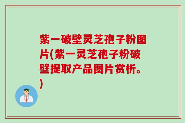紫一破壁灵芝孢子粉图片(紫一灵芝孢子粉破壁提取产品图片赏析。)