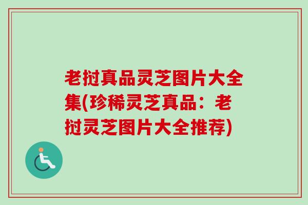 老挝真品灵芝图片大全集(珍稀灵芝真品：老挝灵芝图片大全推荐)