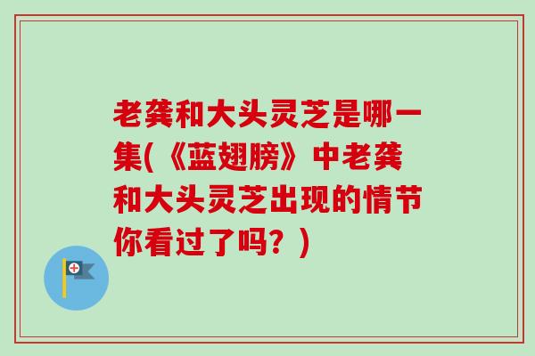 老龚和大头灵芝是哪一集(《蓝翅膀》中老龚和大头灵芝出现的情节你看过了吗？)