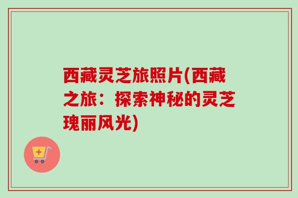 西藏灵芝旅照片(西藏之旅：探索神秘的灵芝瑰丽风光)