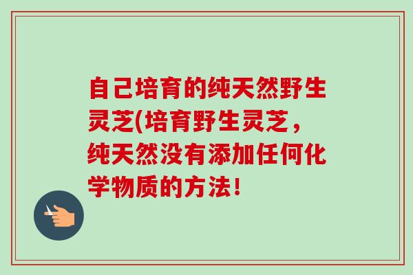自己培育的纯天然野生灵芝(培育野生灵芝，纯天然没有添加任何化学物质的方法！