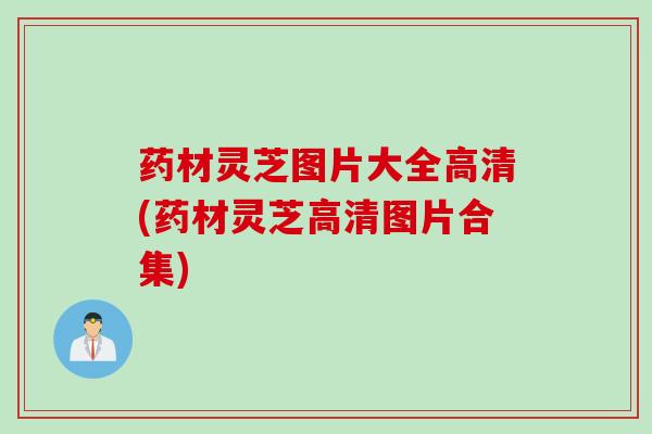 药材灵芝图片大全高清(药材灵芝高清图片合集)