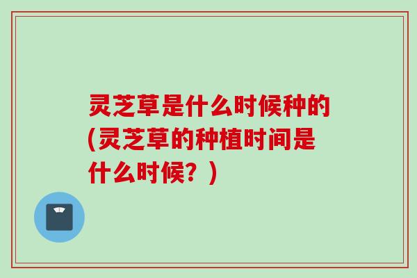 灵芝草是什么时候种的(灵芝草的种植时间是什么时候？)