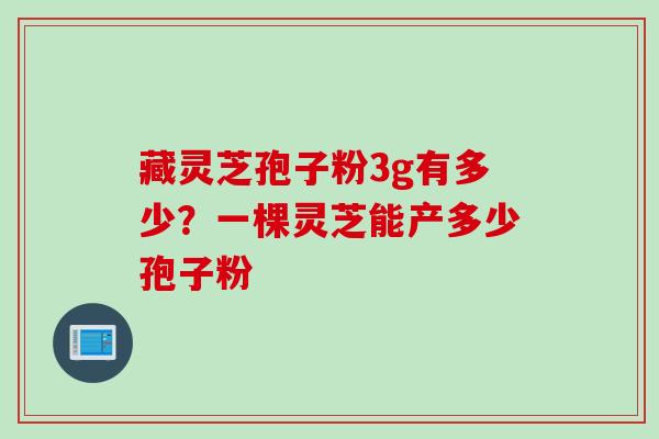 藏灵芝孢子粉3g有多少？一棵灵芝能产多少孢子粉