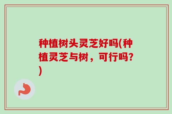 种植树头灵芝好吗(种植灵芝与树，可行吗？)