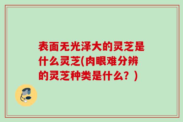 表面无光泽大的灵芝是什么灵芝(肉眼难分辨的灵芝种类是什么？)