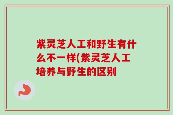 紫灵芝人工和野生有什么不一样(紫灵芝人工培养与野生的区别