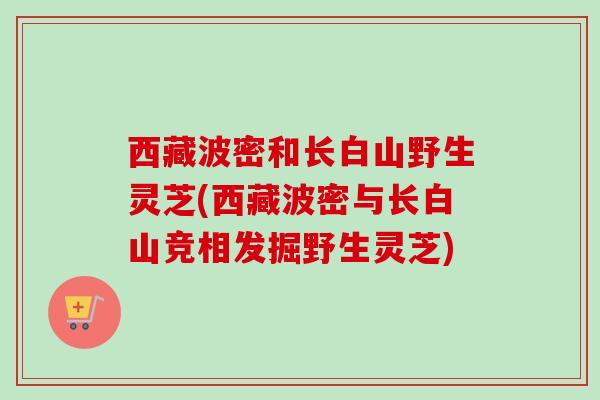 西藏波密和长白山野生灵芝(西藏波密与长白山竞相发掘野生灵芝)