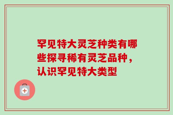 罕见特大灵芝种类有哪些探寻稀有灵芝品种，认识罕见特大类型