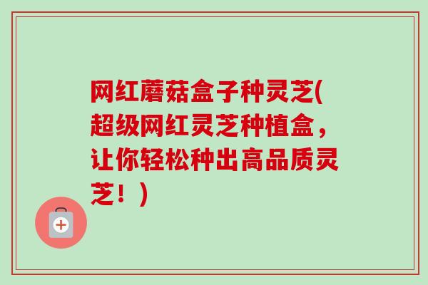 网红蘑菇盒子种灵芝(超级网红灵芝种植盒，让你轻松种出高品质灵芝！)
