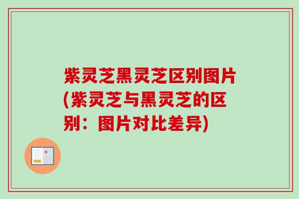 紫灵芝黑灵芝区别图片(紫灵芝与黑灵芝的区别:图片对比差异) 紫灵芝黑灵芝区别图片(紫灵芝与黑灵芝的区别:图片对比差异)
