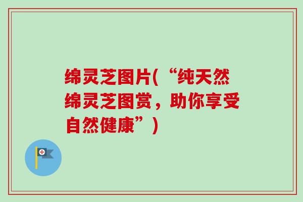 绵灵芝图片(“纯天然绵灵芝图赏，助你享受自然健康”)