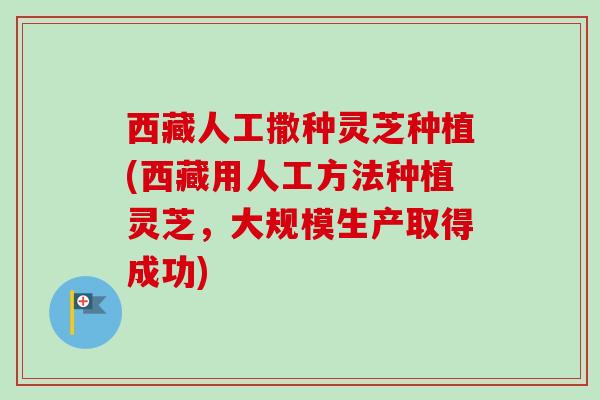西藏人工撒种灵芝种植(西藏用人工方法种植灵芝，大规模生产取得成功)