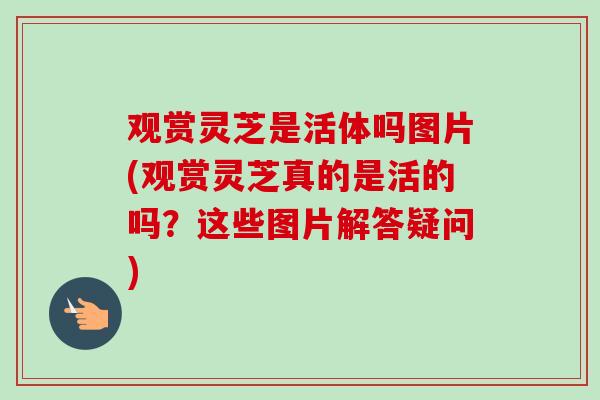 观赏灵芝是活体吗图片(观赏灵芝真的是活的吗？这些图片解答疑问)