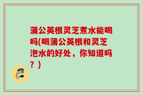 蒲公英根灵芝煮水能喝吗(喝蒲公英根和灵芝泡水的好处，你知道吗？)