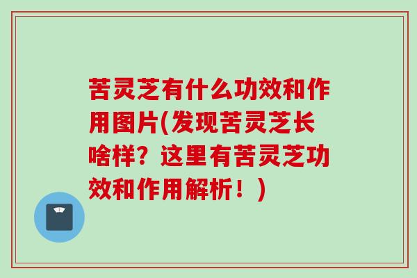 苦灵芝有什么功效和作用图片(发现苦灵芝长啥样？这里有苦灵芝功效和作用解析！)