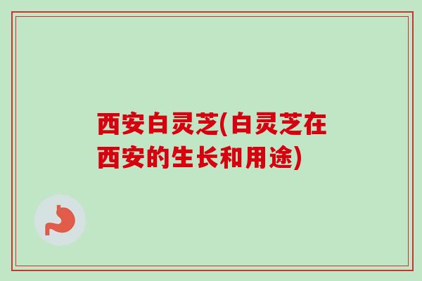西安白灵芝(白灵芝在西安的生长和用途)