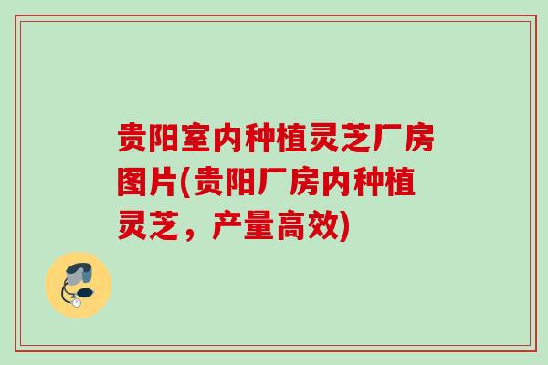 贵阳室内种植灵芝厂房图片(贵阳厂房内种植灵芝,产量高效) 贵阳室内种植灵芝厂房图片(贵阳厂房内种植灵芝,产量高效)