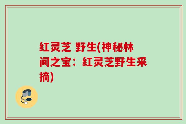 红灵芝 野生(神秘林间之宝：红灵芝野生采摘)