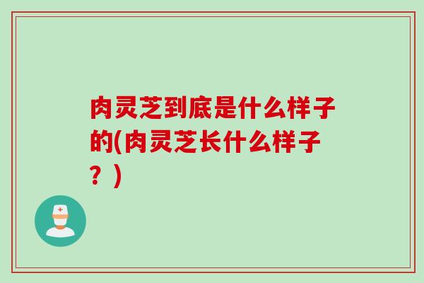肉灵芝到底是什么样子的(肉灵芝长什么样子？)