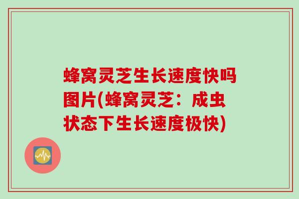 蜂窝灵芝生长速度快吗图片(蜂窝灵芝：成虫状态下生长速度极快)