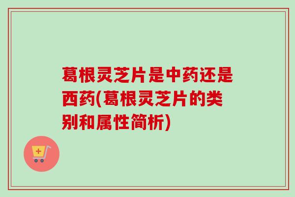 葛根灵芝片是中药还是西药(葛根灵芝片的类别和属性简析)