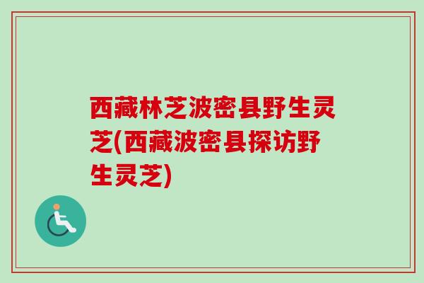 西藏林芝波密县野生灵芝(西藏波密县探访野生灵芝)