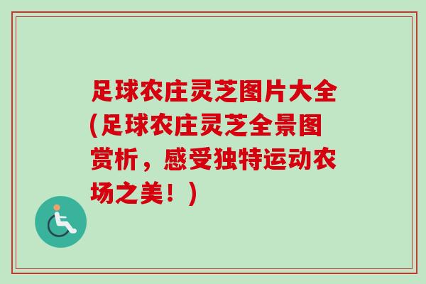 足球农庄灵芝图片大全(足球农庄灵芝全景图赏析,感受独特运动农场之美!) 足球农庄灵芝图片大全(足球农庄灵芝全景图赏析,感受独特运动农场之美!)