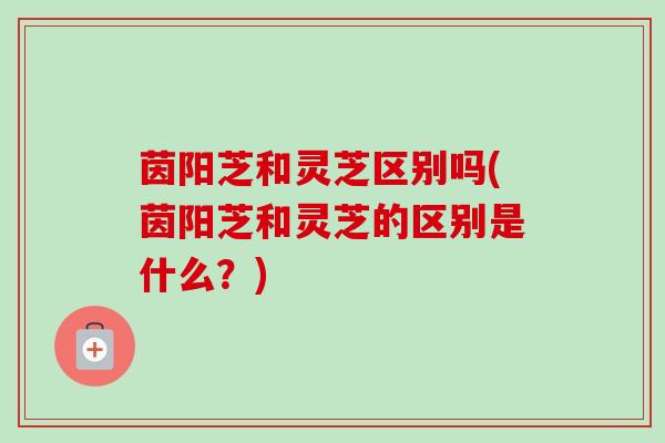 茵阳芝和灵芝区别吗(茵阳芝和灵芝的区别是什么？)