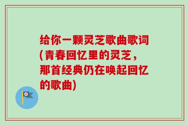 给你一颗灵芝歌曲歌词(青春回忆里的灵芝，那首经典仍在唤起回忆的歌曲)
