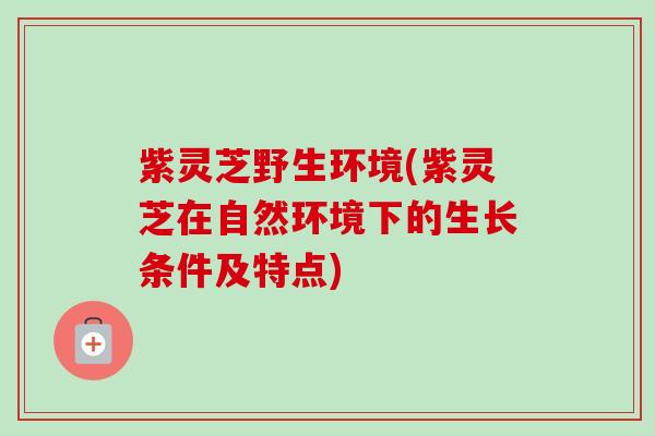 紫灵芝野生环境(紫灵芝在自然环境下的生长条件及特点)