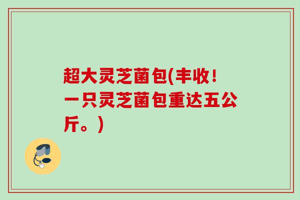 超大灵芝菌包(丰收！一只灵芝菌包重达五公斤。)