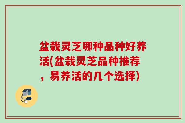 盆栽灵芝哪种品种好养活(盆栽灵芝品种推荐,易养活的几个选择) 盆栽灵芝哪种品种好养活(盆栽灵芝品种推荐,易养活的几个选择)
