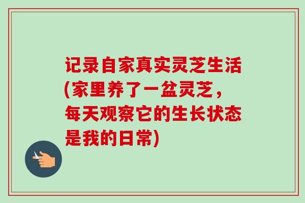 记录自家真实灵芝生活(家里养了一盆灵芝，每天观察它的生长状态是我的日常)