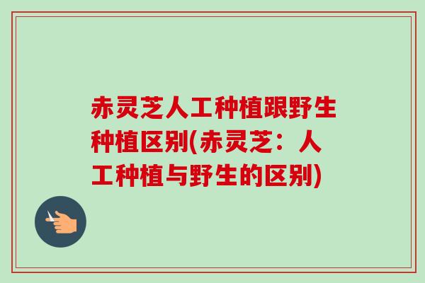 赤灵芝人工种植跟野生种植区别(赤灵芝：人工种植与野生的区别)