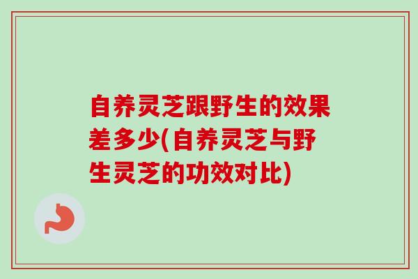 自养灵芝跟野生的效果差多少(自养灵芝与野生灵芝的功效对比)