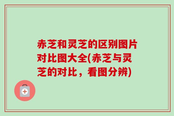 赤芝和灵芝的区别图片对比图大全(赤芝与灵芝的对比，看图分辨)