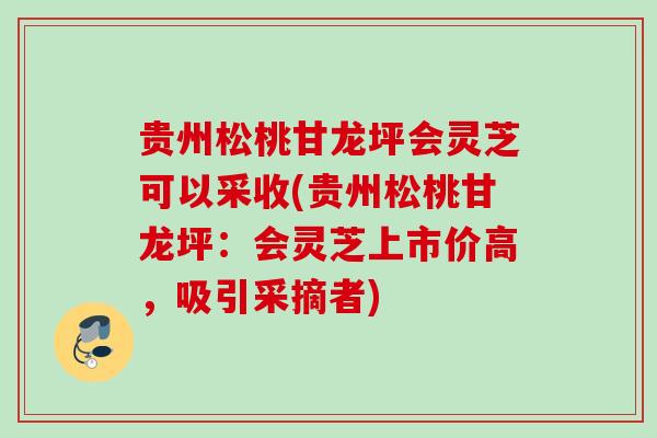 贵州松桃甘龙坪会灵芝可以采收(贵州松桃甘龙坪：会灵芝上市价高，吸引采摘者)
