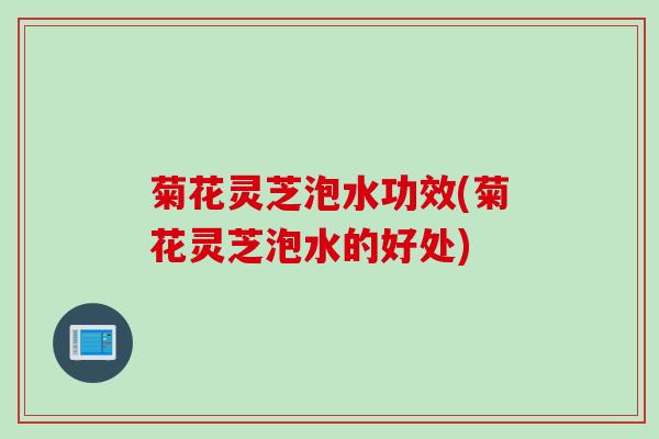 菊花灵芝泡水功效(菊花灵芝泡水的好处)