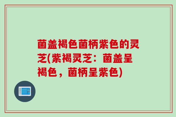 菌盖褐色菌柄紫色的灵芝(紫褐灵芝：菌盖呈褐色，菌柄呈紫色)