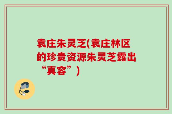 袁庄朱灵芝(袁庄林区的珍贵资源朱灵芝露出“真容”)