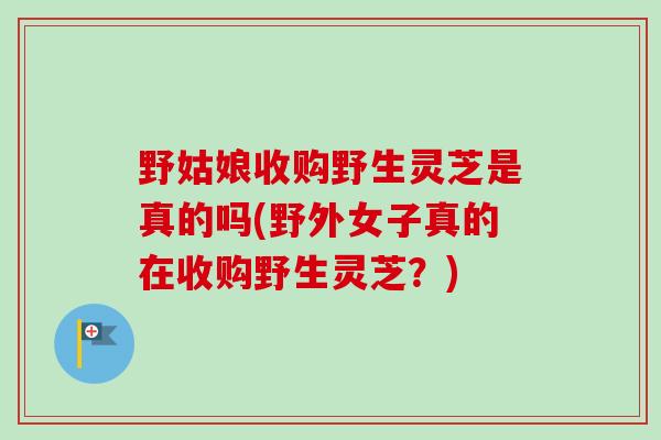 野姑娘收购野生灵芝是真的吗(野外女子真的在收购野生灵芝？)