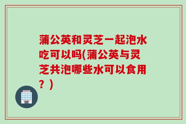 蒲公英和灵芝一起泡水吃可以吗(蒲公英与灵芝共泡哪些水可以食用?) 蒲公英和灵芝一起泡水吃可以吗(蒲公英与灵芝共泡哪些水可以食用?)