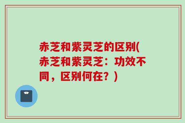 赤芝和紫灵芝的区别(赤芝和紫灵芝：功效不同，区别何在？)