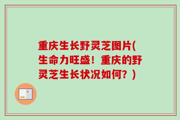 重庆生长野灵芝图片(生命力旺盛！重庆的野灵芝生长状况如何？)