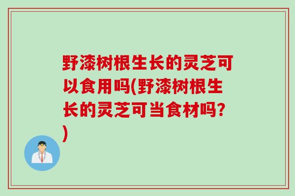 野漆树根生长的灵芝可以食用吗(野漆树根生长的灵芝可当食材吗？)