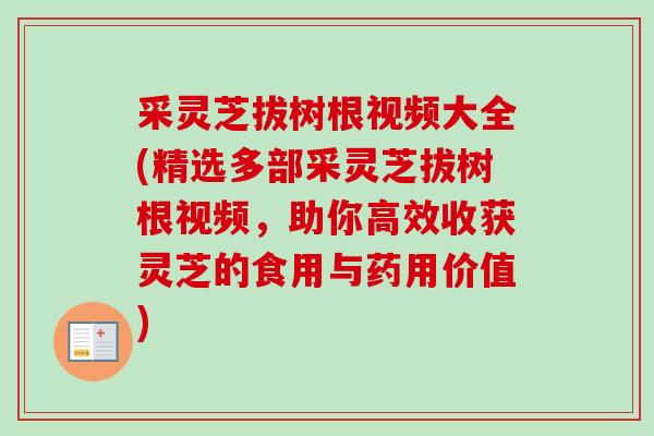 采灵芝拔树根视频大全(精选多部采灵芝拔树根视频，助你高效收获灵芝的食用与药用价值)