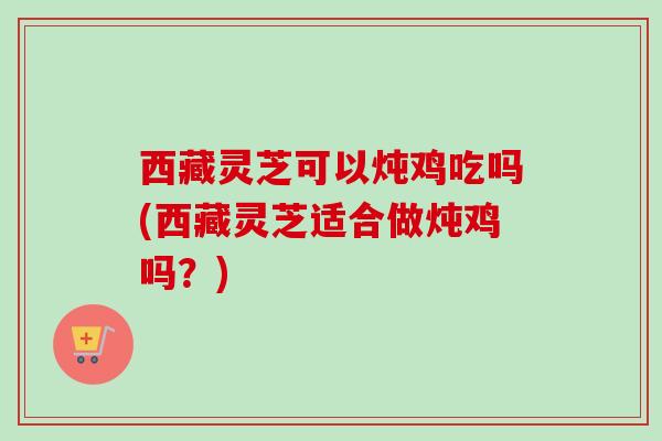 西藏灵芝可以炖鸡吃吗(西藏灵芝适合做炖鸡吗？)